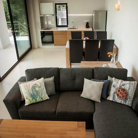 Villa Calypso PalaiónTsiflíkion エクステリア 写真