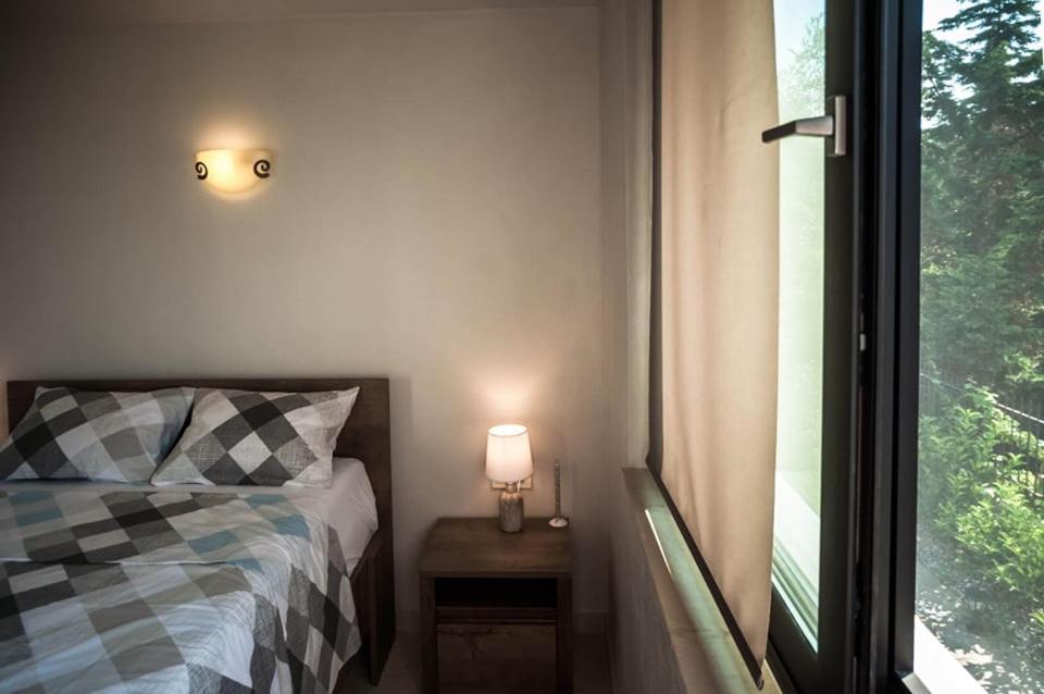Villa Calypso PalaiónTsiflíkion エクステリア 写真
